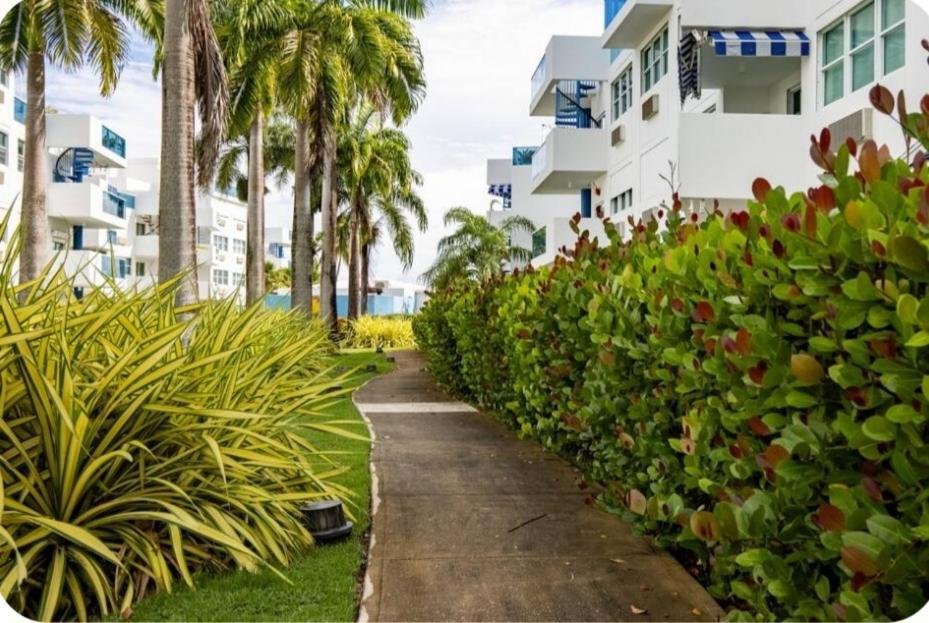 Breezy Nights Puerto Rico Apartment Loiza Екстериор снимка
